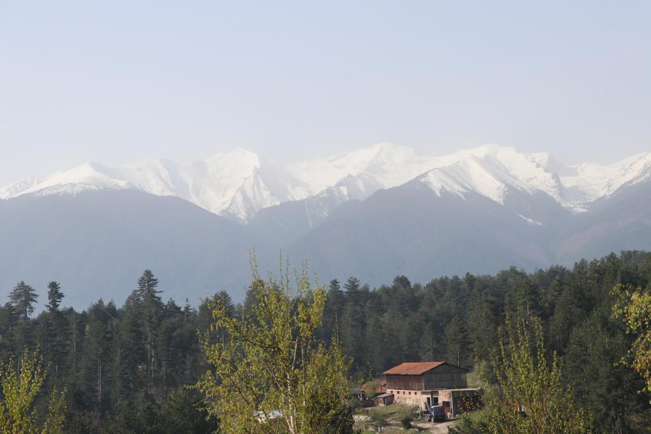 Katarino Spa Hotel Bansko Exterior photo